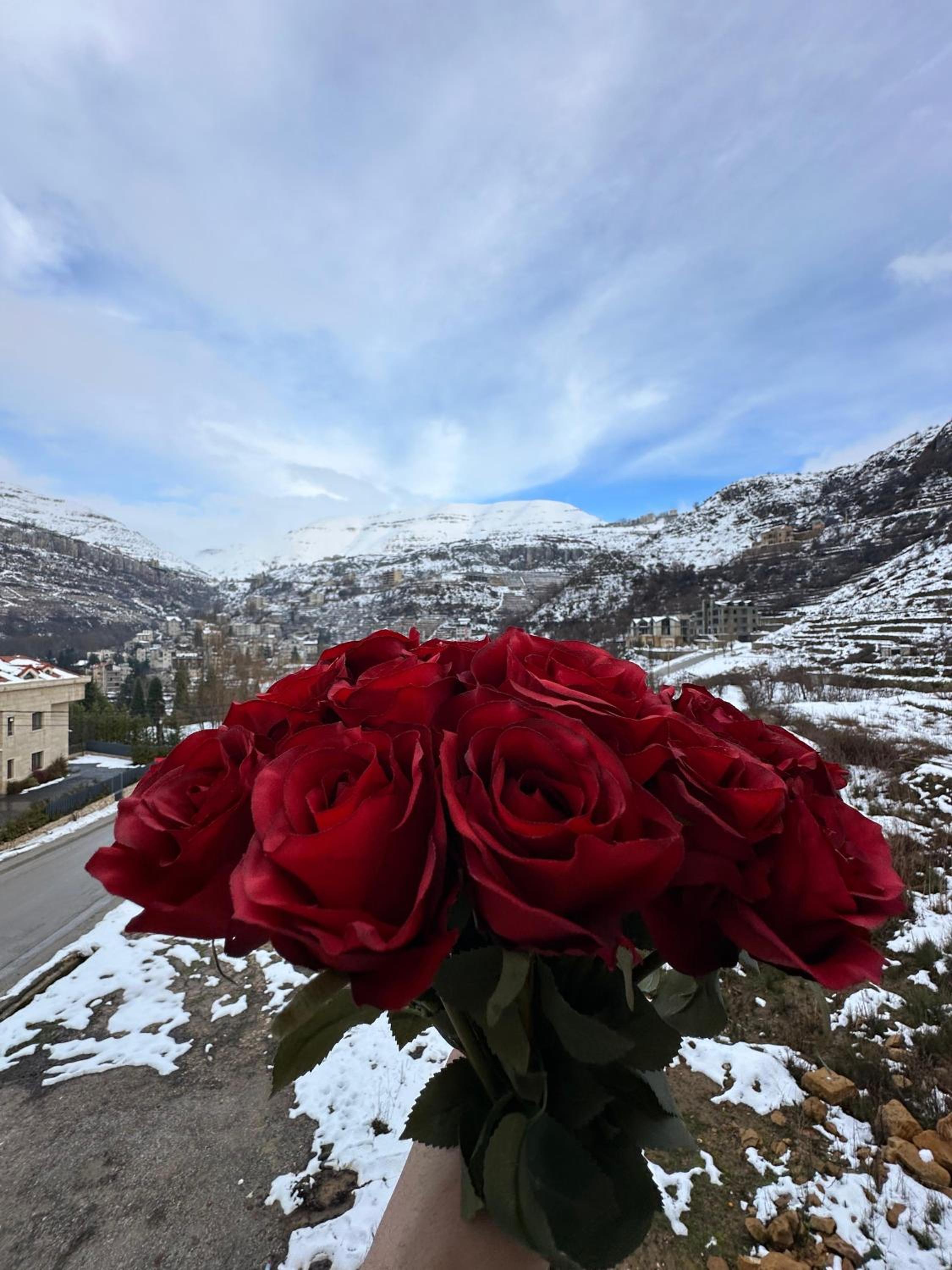 Rokwood faraya