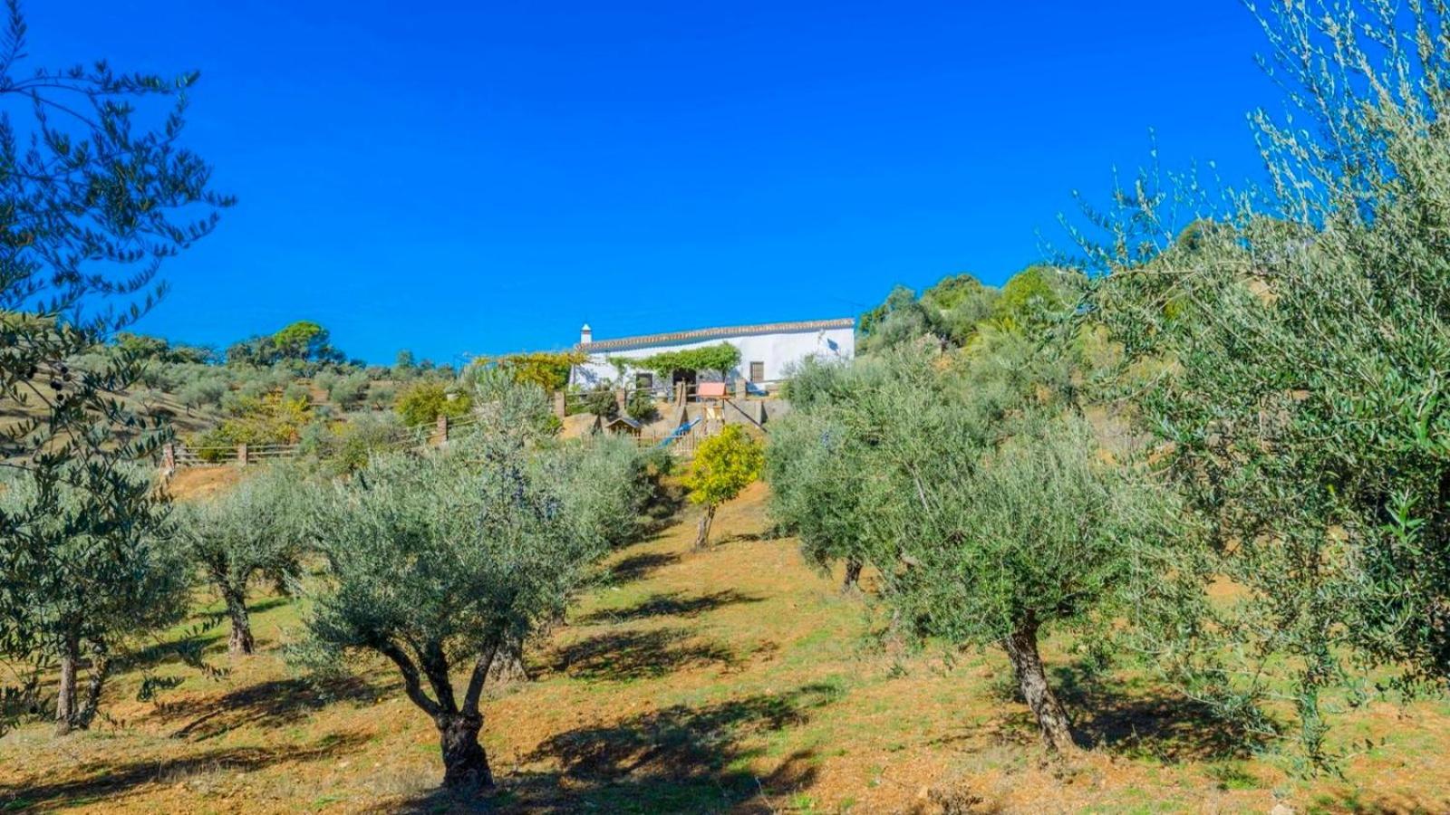 Finca Maripasa Cazalla de la Sierra by Ruralidays