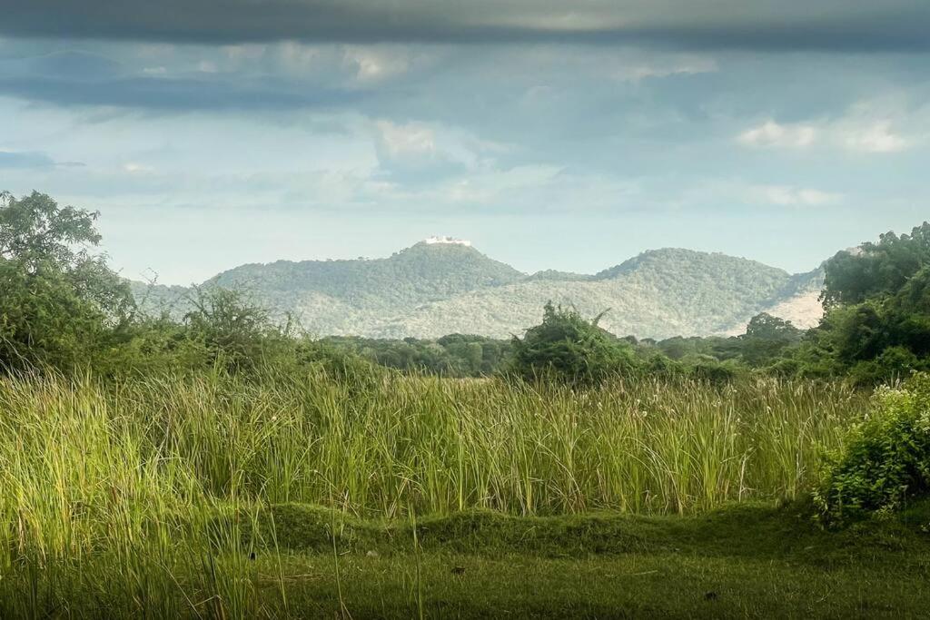 Cinnamon Retreat by Elite Shield view 3