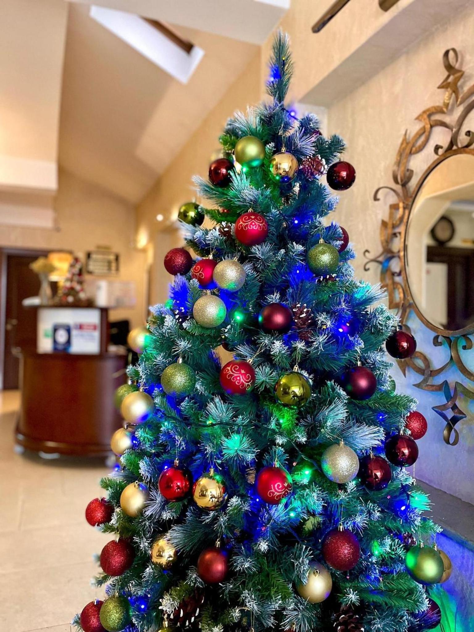 Hotel Pensiunea Junior - Image 1