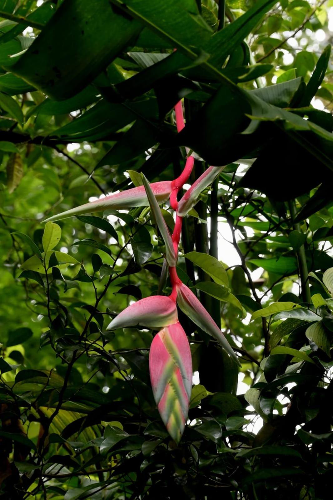 Nadackal Nature County view 2