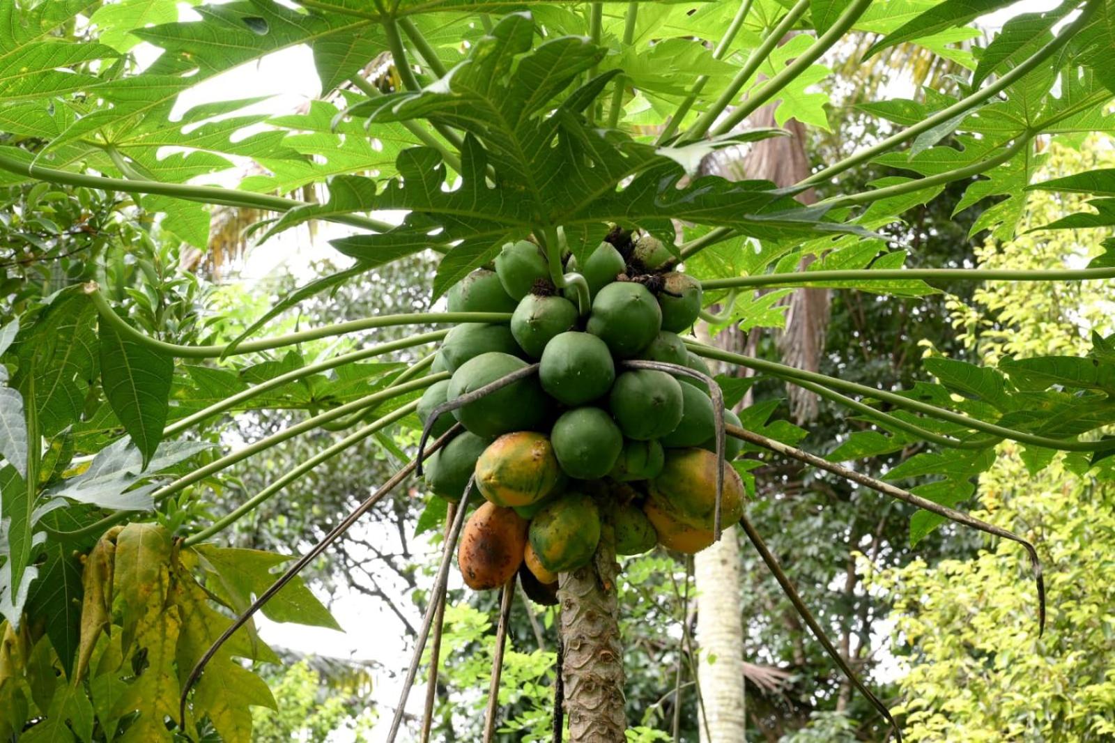 Nadackal Nature County view 4
