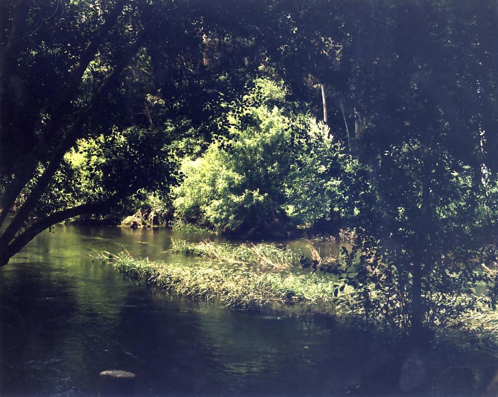 Paradisiaco Umia