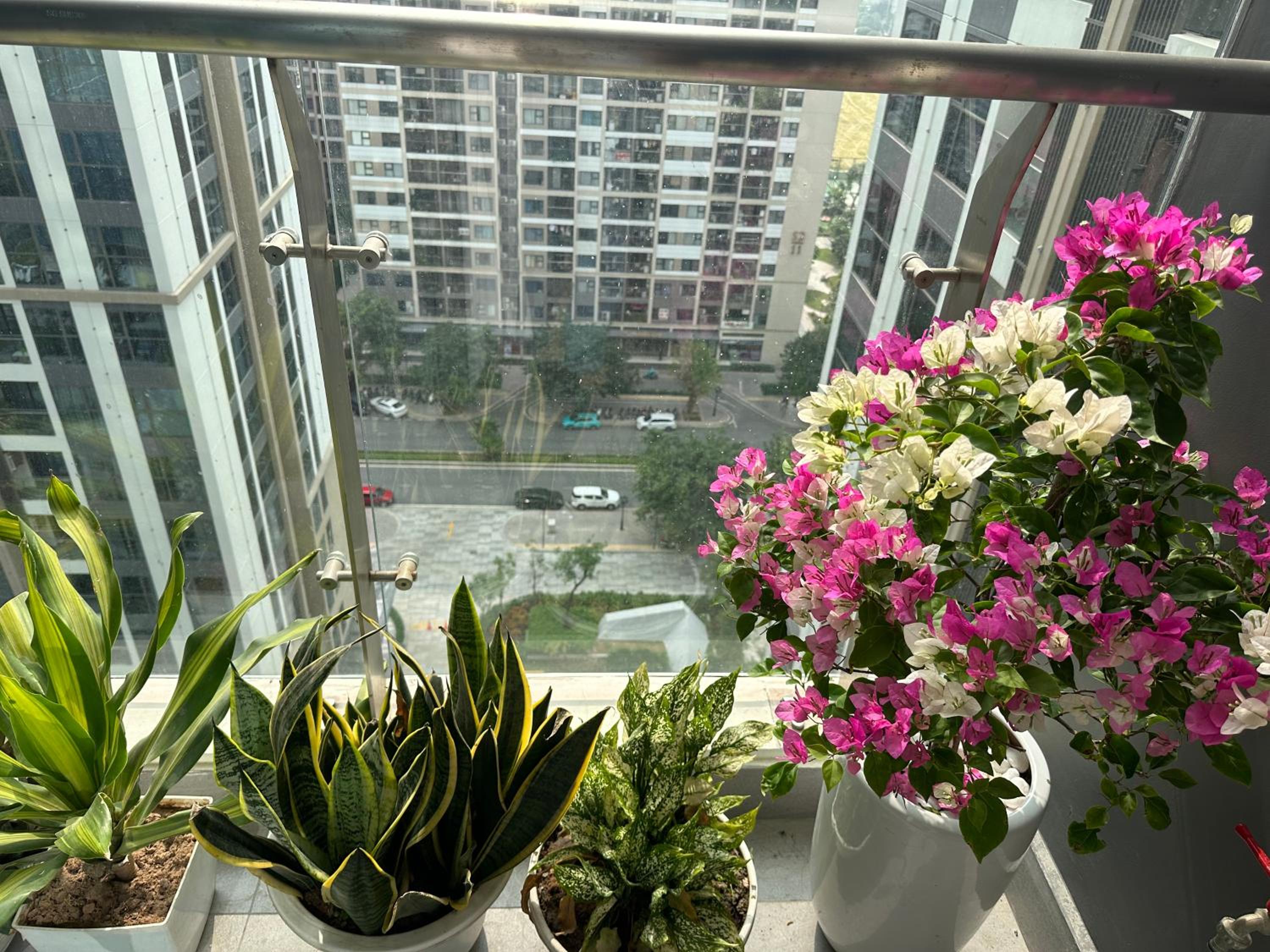 Masterise home - Oceanpark - luxury apartment