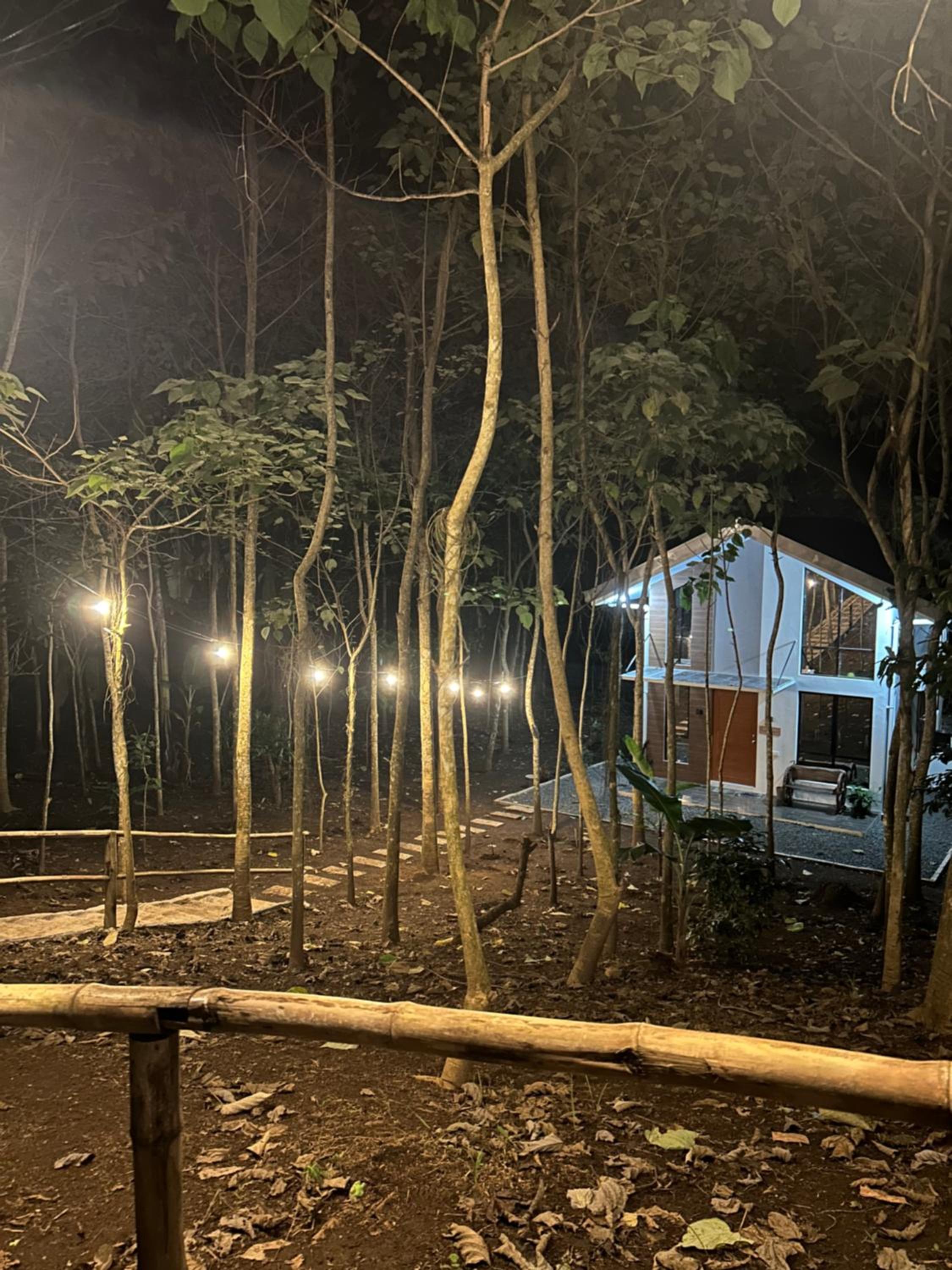 Tagaytay's Cozy Loft-type Forest House and Camp view 4