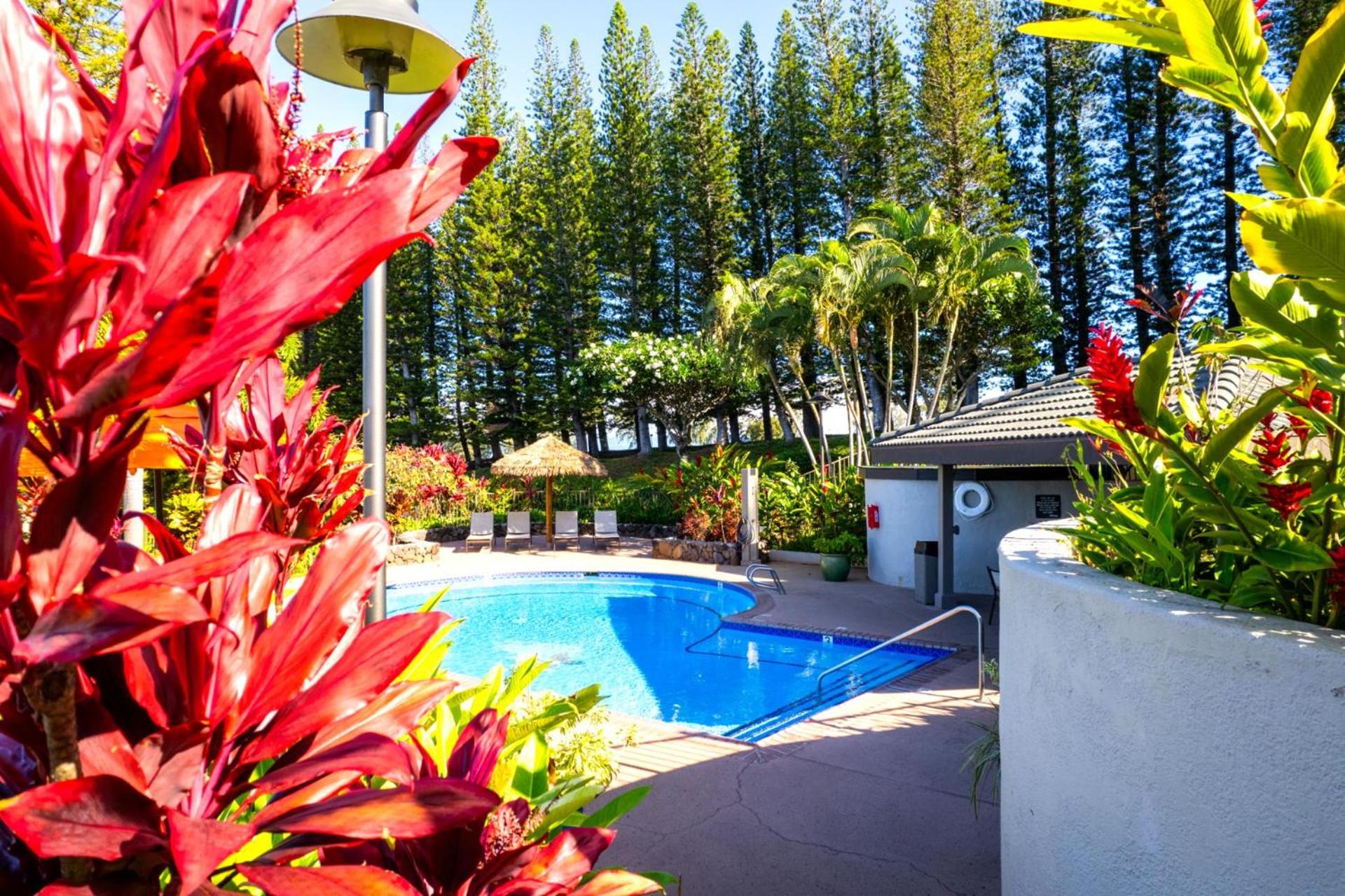 KBM Resorts: Kapalua Golf Villa KGV-16T4 Remodeled Ocean Views Includes Rental Car view 3