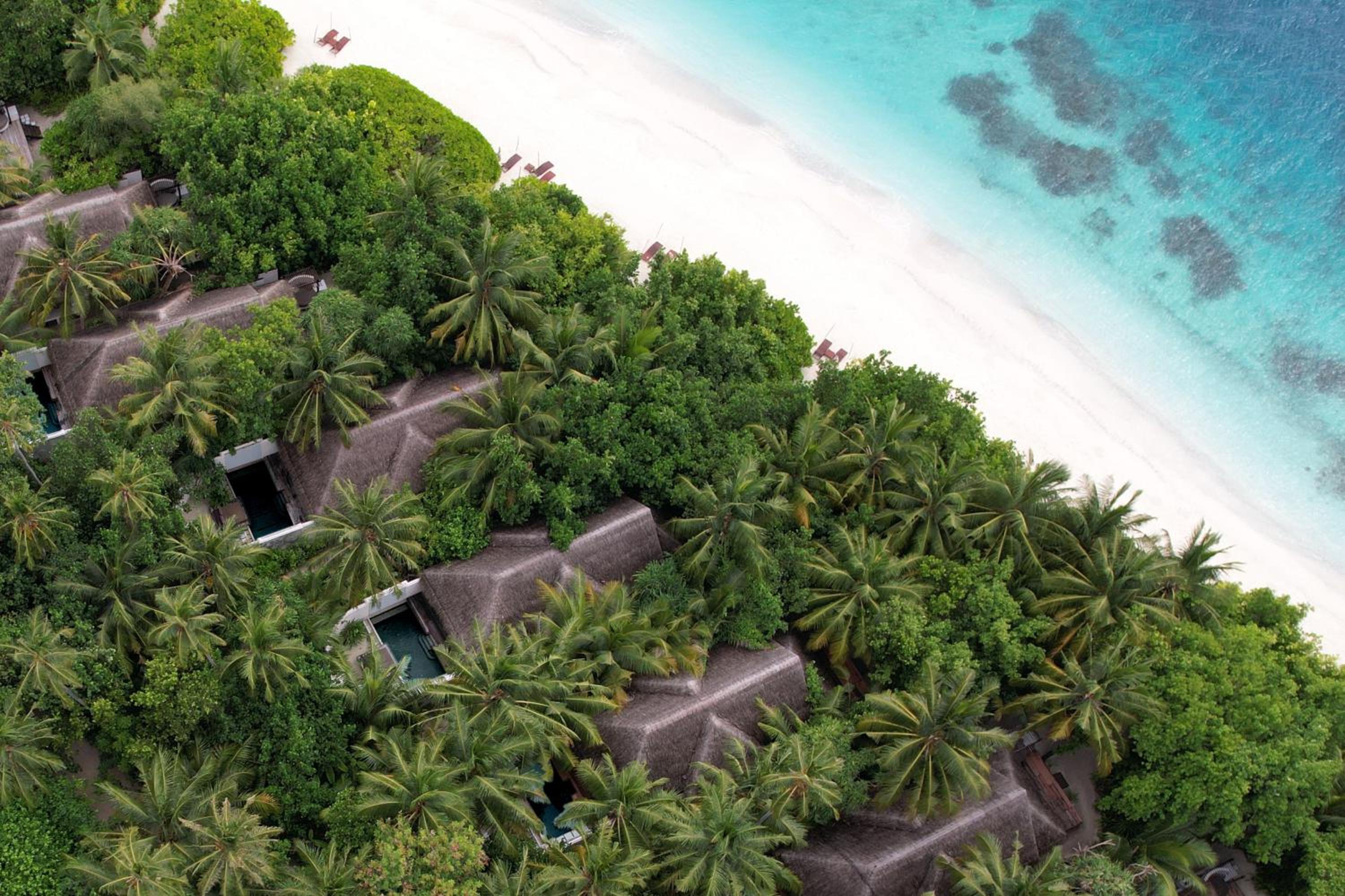 Coco Bodu Hithi - Stay 4 nights or more and enjoy 30 percent off Shared Roundtrip Speedboat, valid for stays until 31st August 2026 view 5