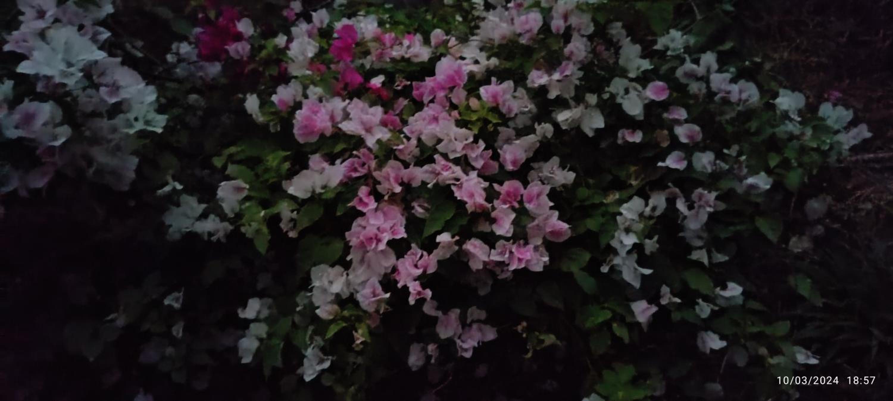 Photo 33