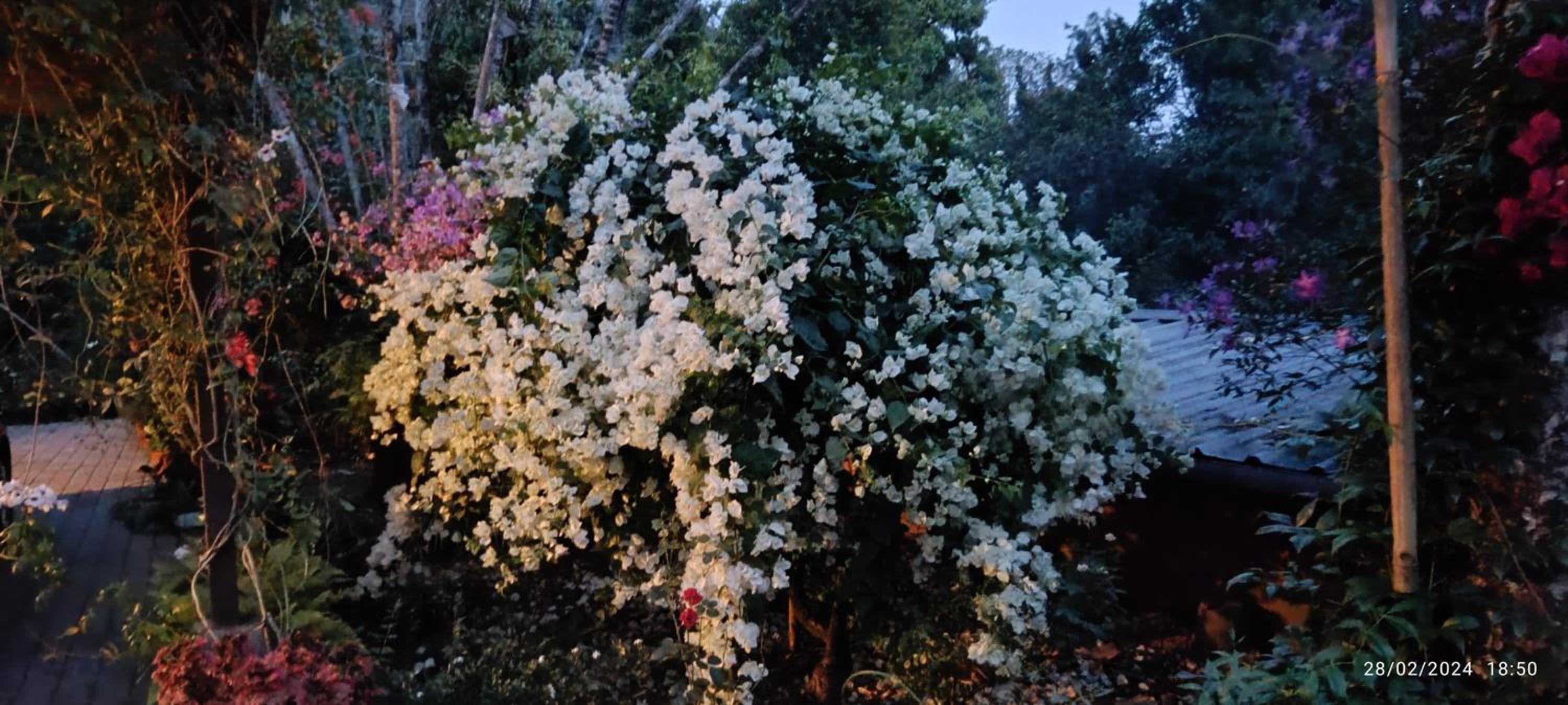 Photo 40
