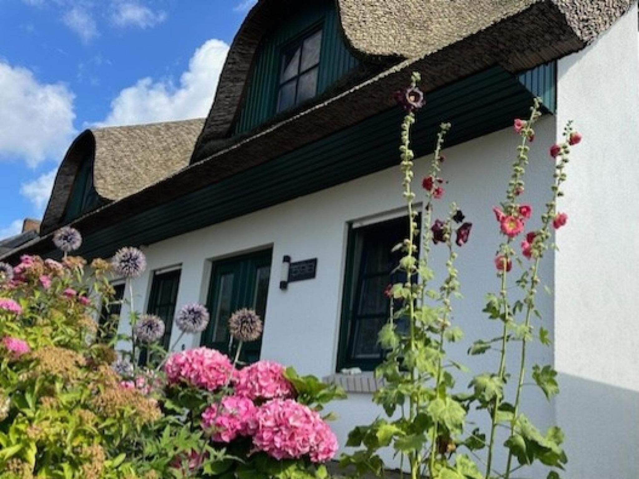 Strandhaus am Höft - exklusiver Privatstrand vor dem Haus