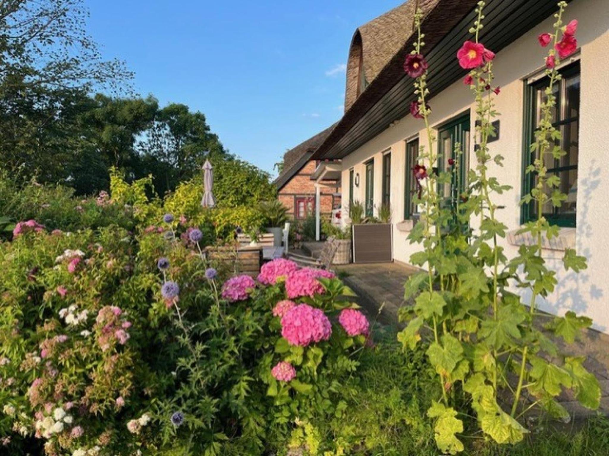 Strandhaus am Höft - exklusiver Privatstrand vor dem Haus