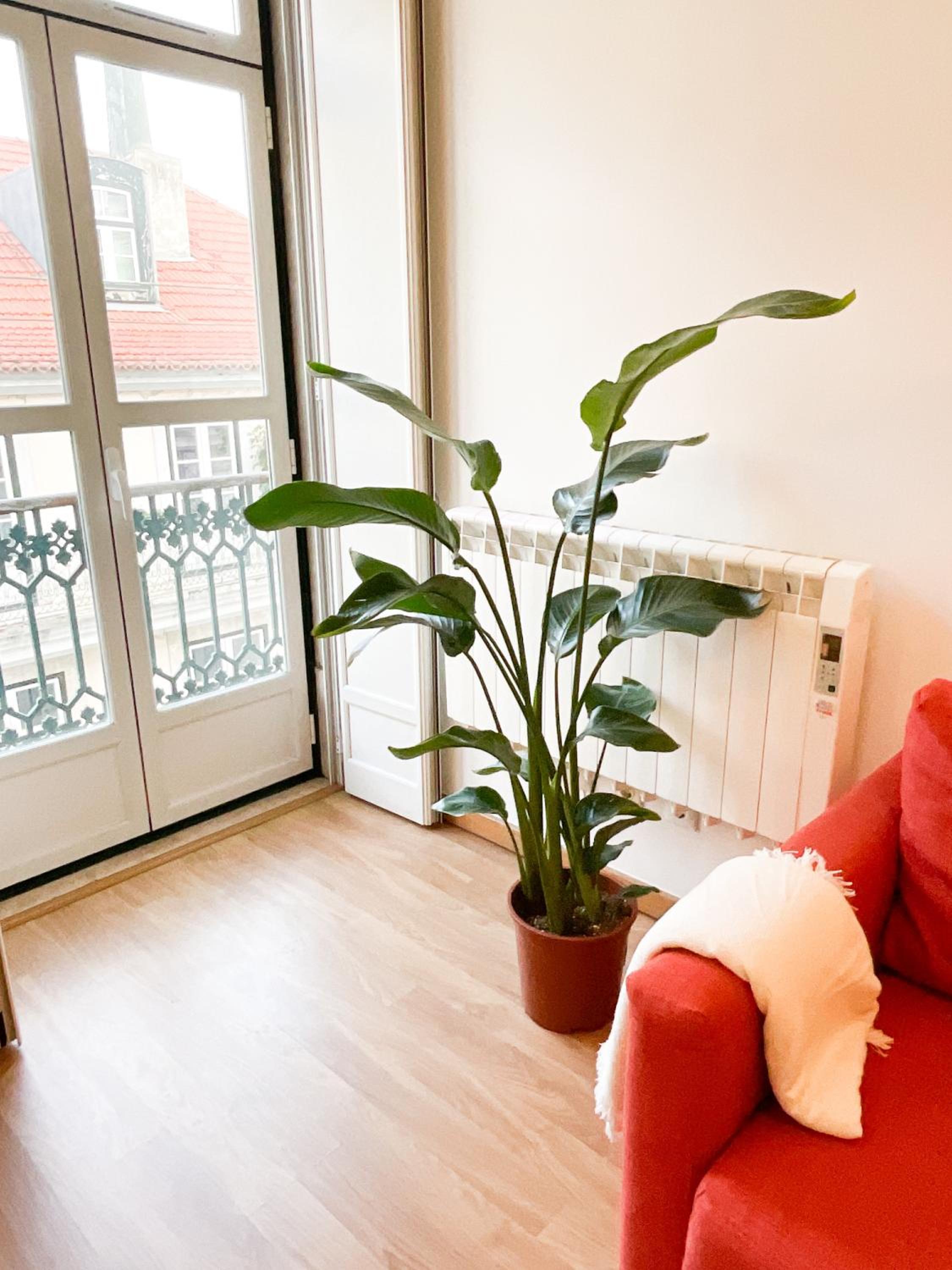 Stunning Luxury Apartment in Chiado 1BR