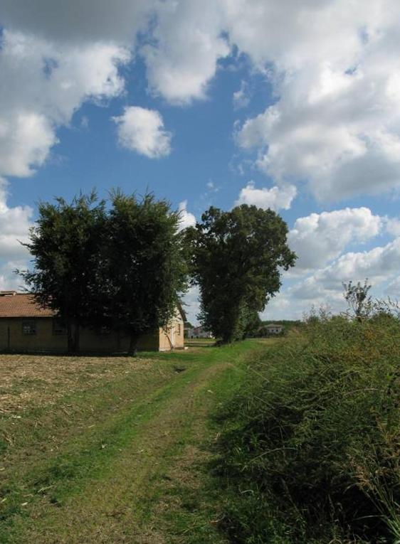 L'ULMA e L'OPI RB, photo 11