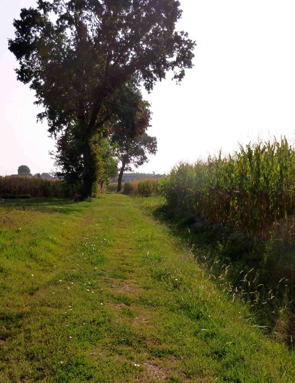 L'ULMA e L'OPI RB