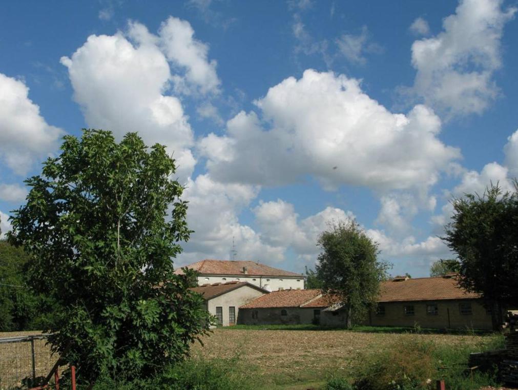 L'ULMA e L'OPI RB, photo 13
