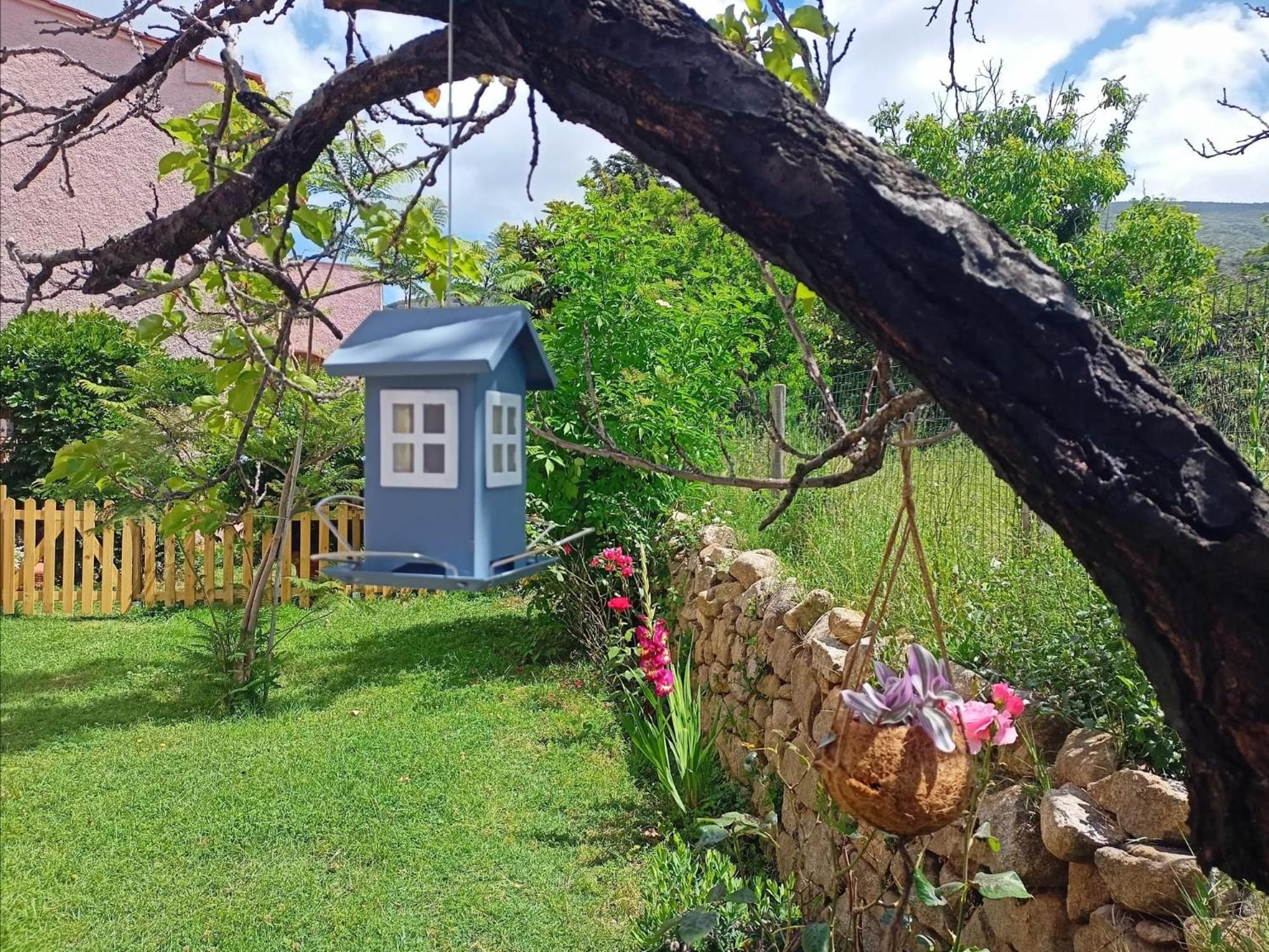 Villa Ontanelli - 500mt dal mare