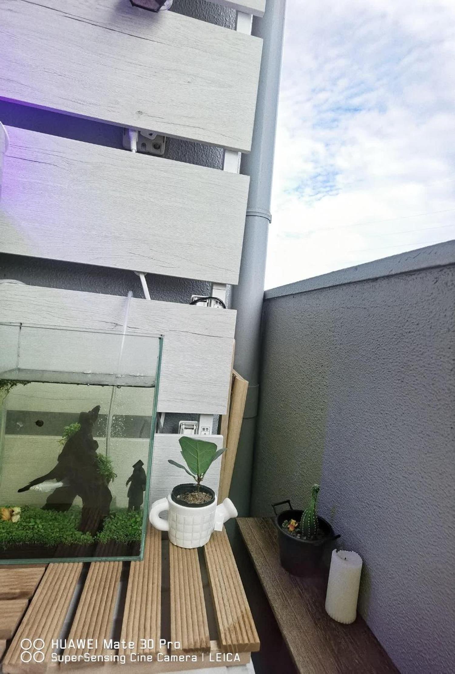 Ne O