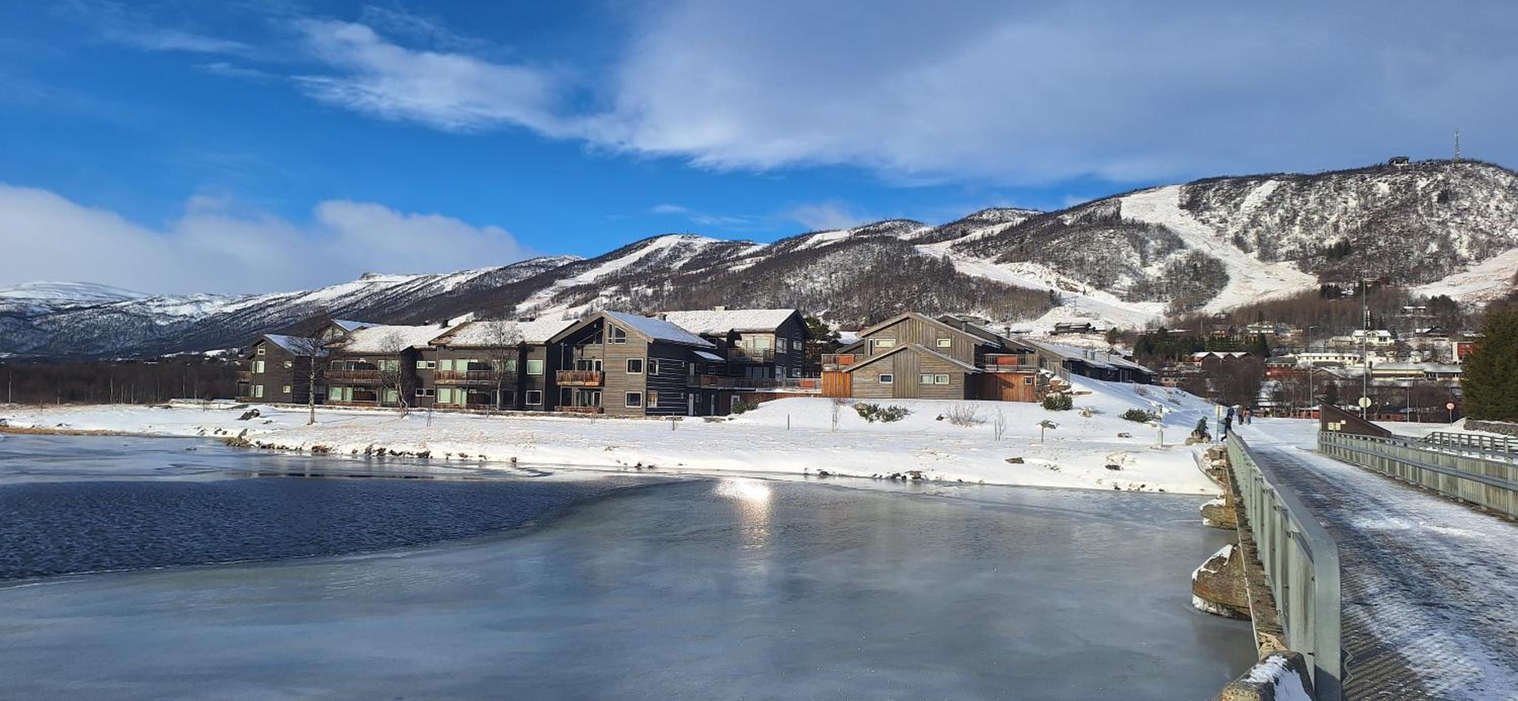 Sentral leilighet på Geilo