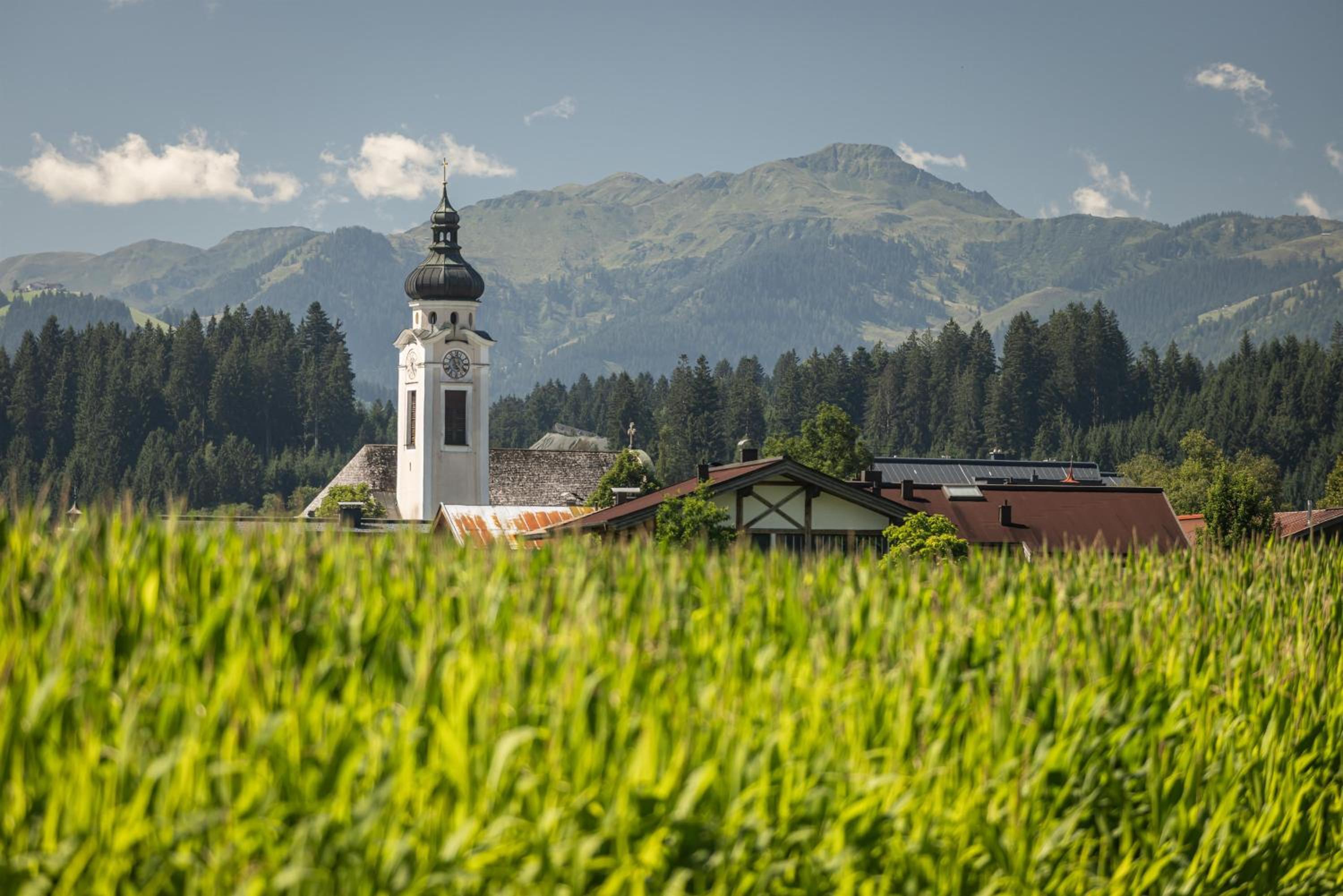 Apartment P6 Oberndorf direkt an der Piste mit Blick auf den Wilden Kaiser