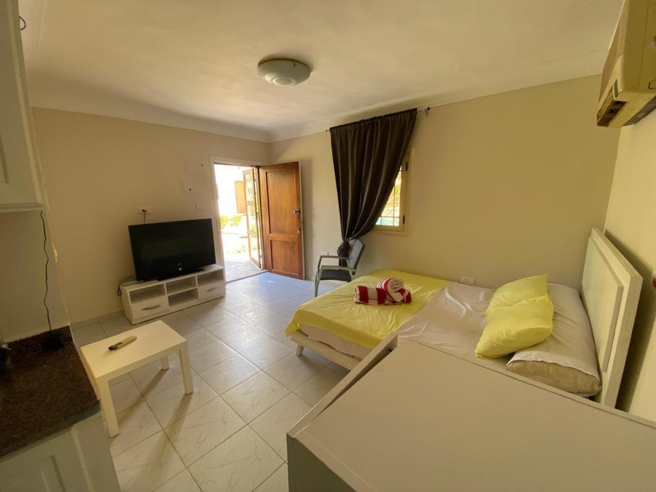 studio for daily rent