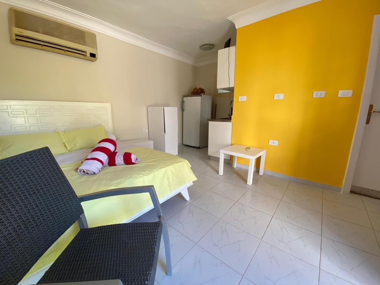 studio for daily rent