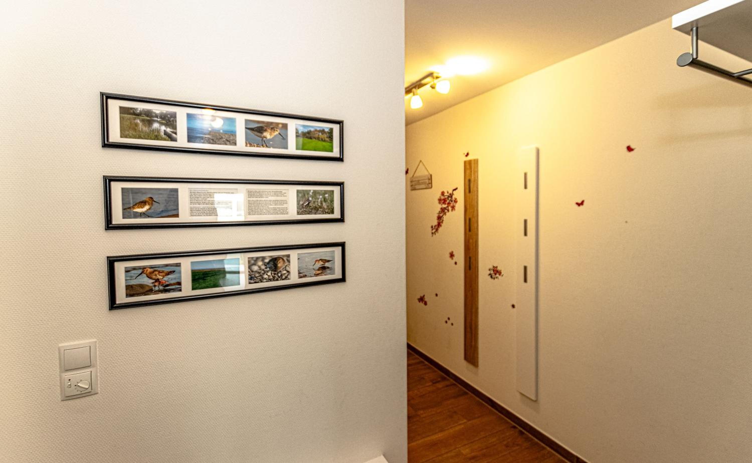 Ferienwohnung Alpenstrandläufer