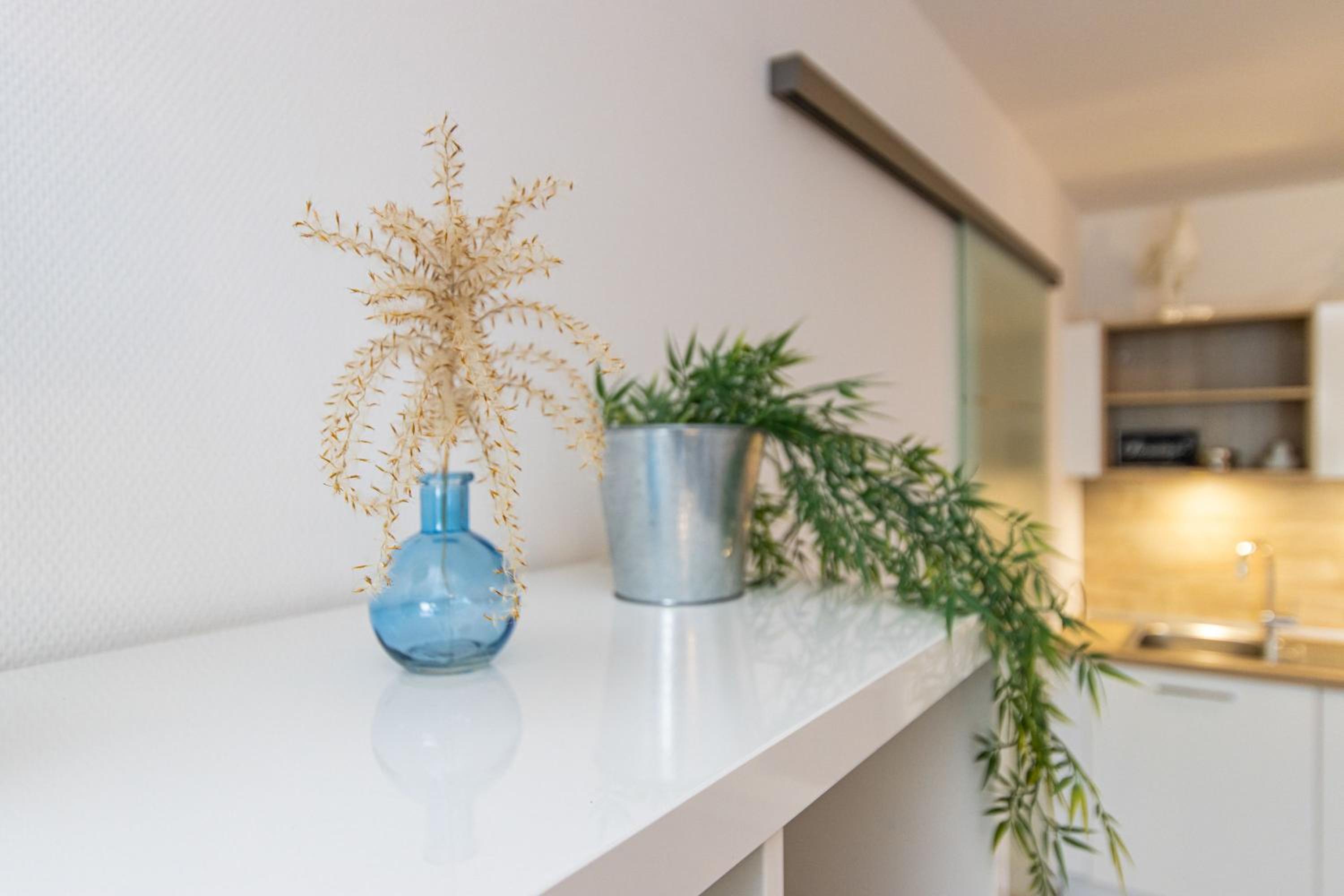 Ferienwohnung Deichstern