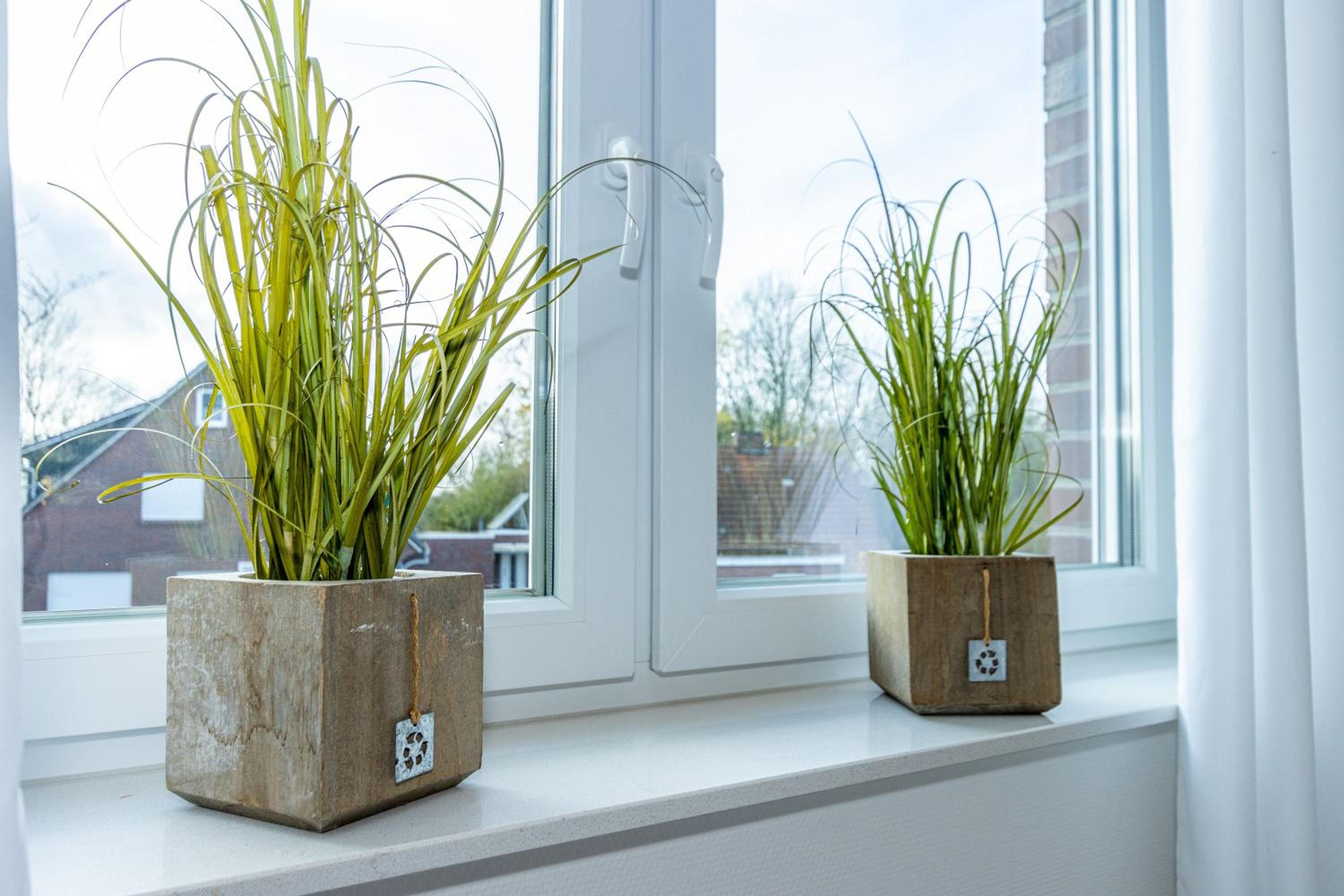 Ferienwohnung Sansibar