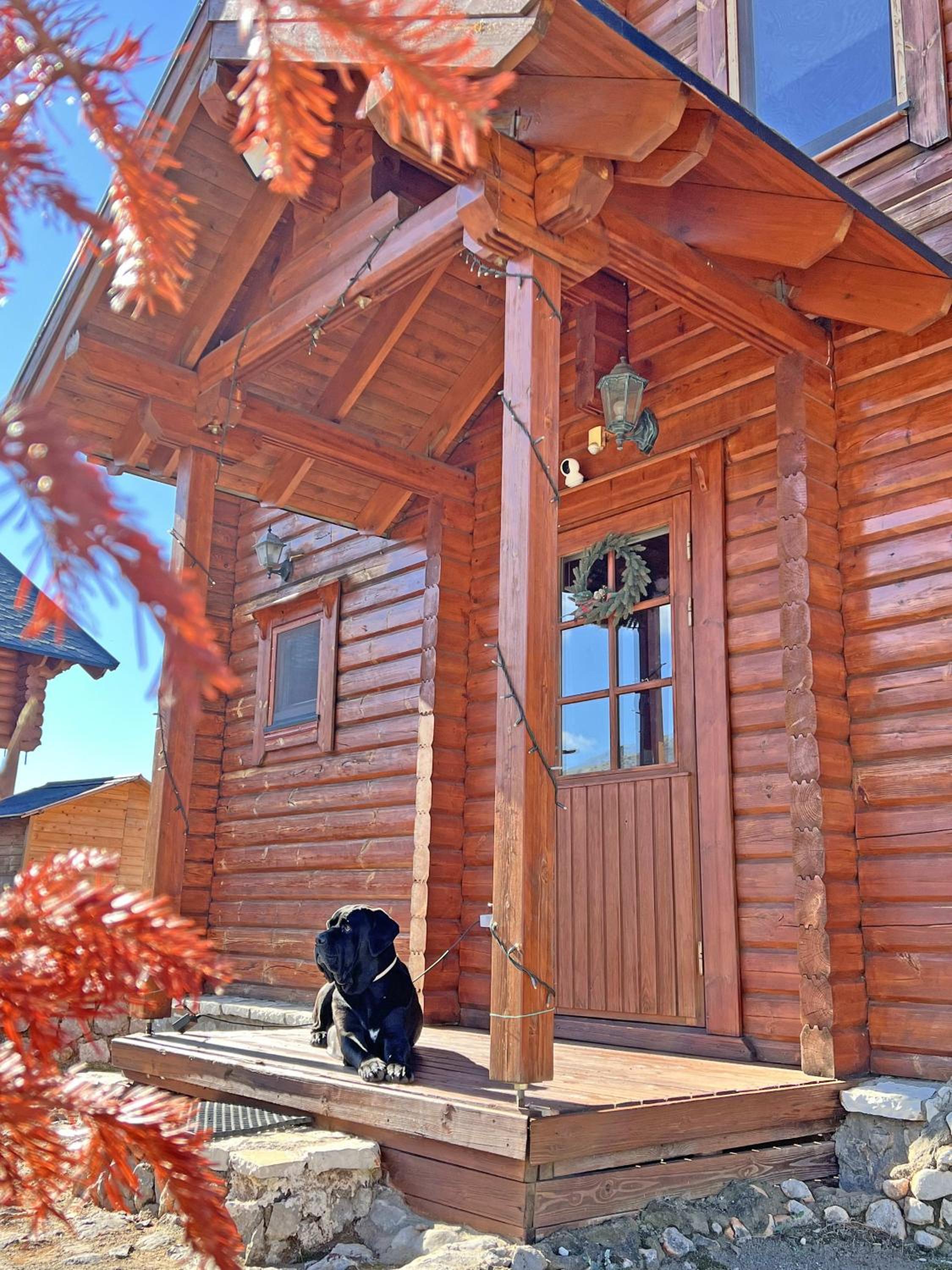 Cozy house on Parnassos Mountain photo 4