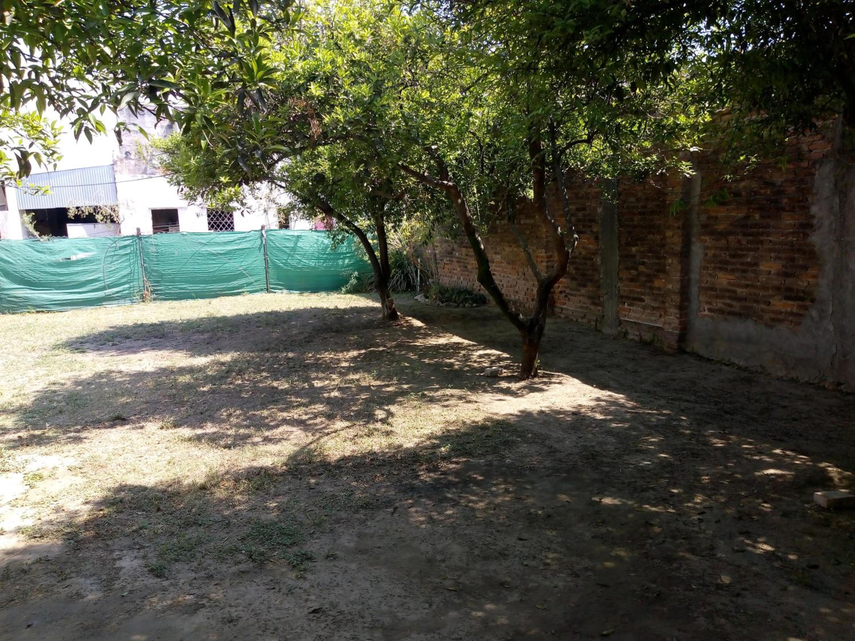 La Española
