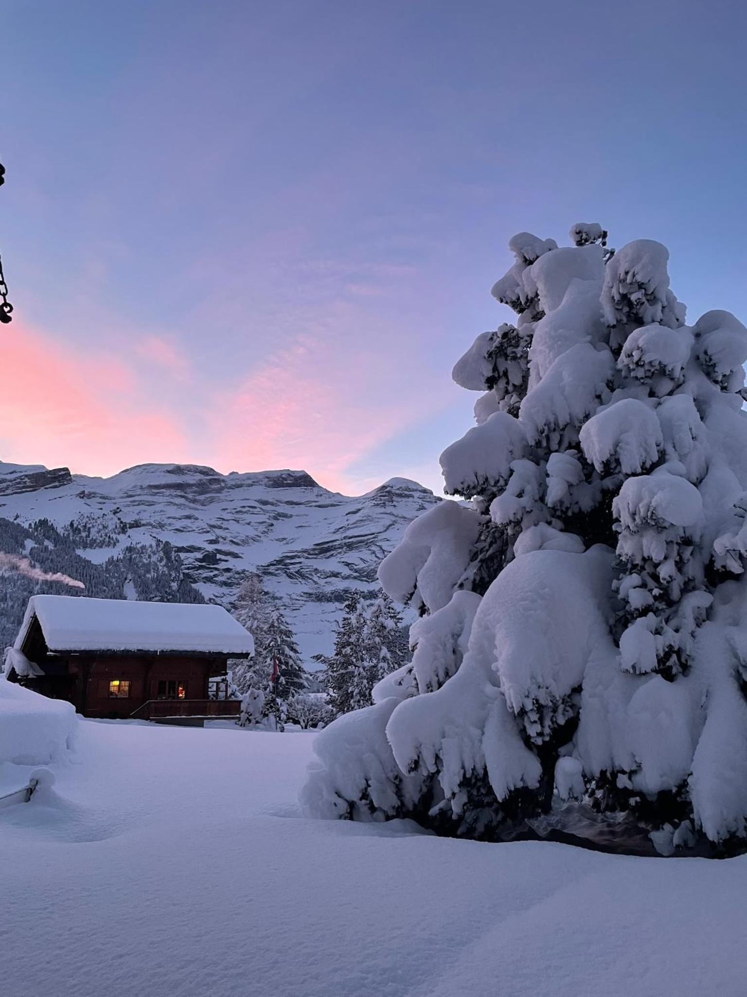 Appartement cosy dans chalet typique Région Diablerets Glacier 3000