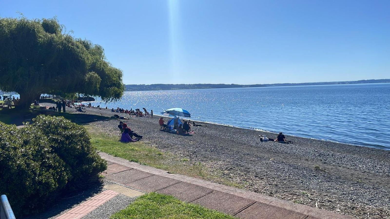Casa de Campo Familiar, 4 dormitorios, 15 minutos Lago Ranco
