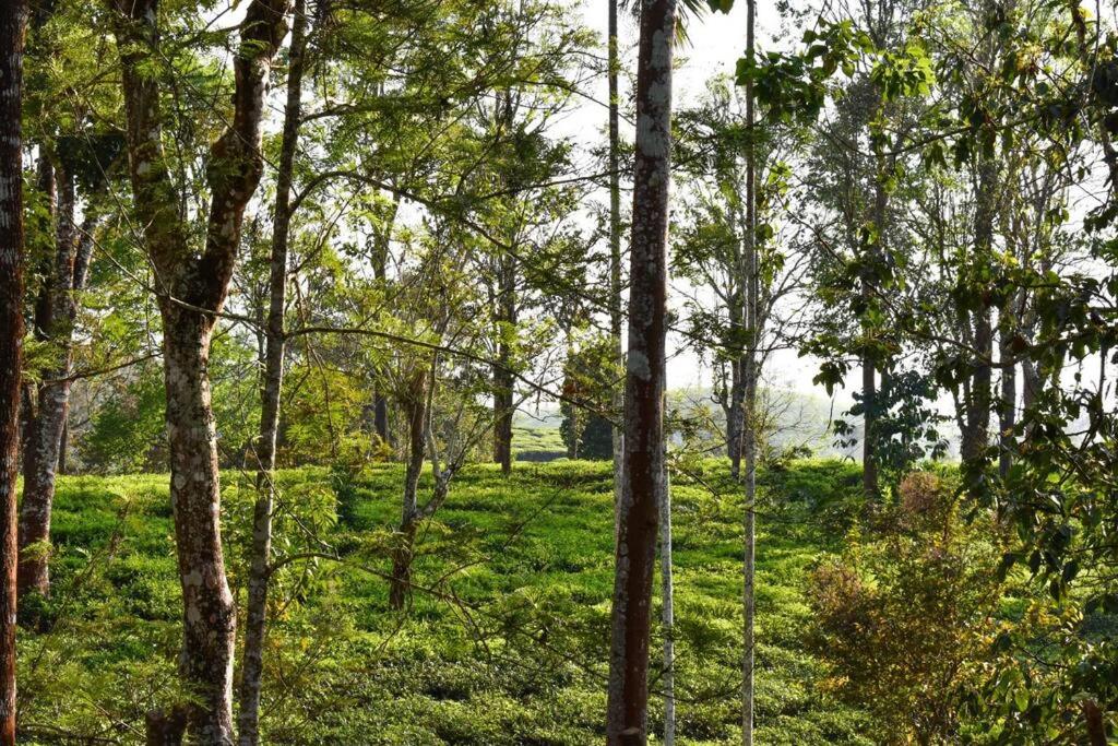 Green Shadows-The Tea Plantation Private Villa by Luxdens Hotels view 4