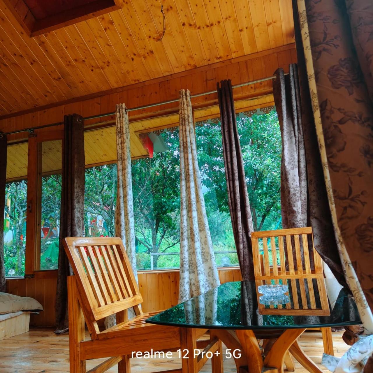 The acoustic cabin jibhi riverside view 2