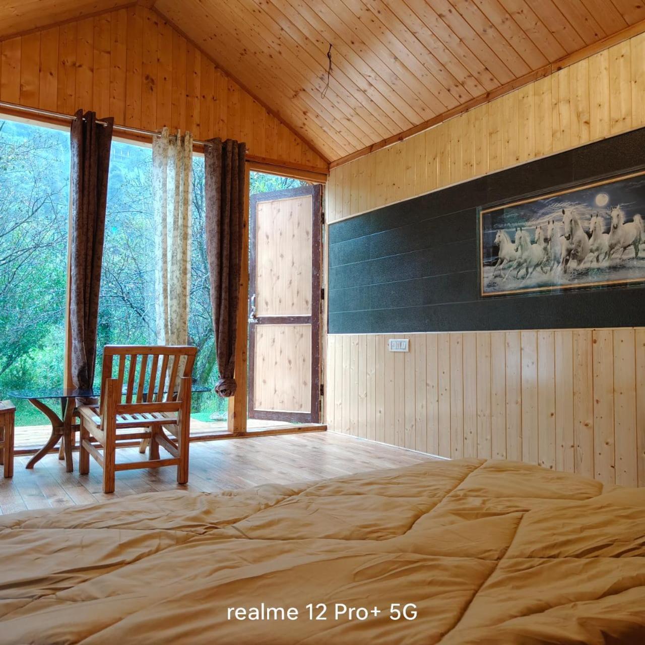 The acoustic cabin jibhi riverside view 4