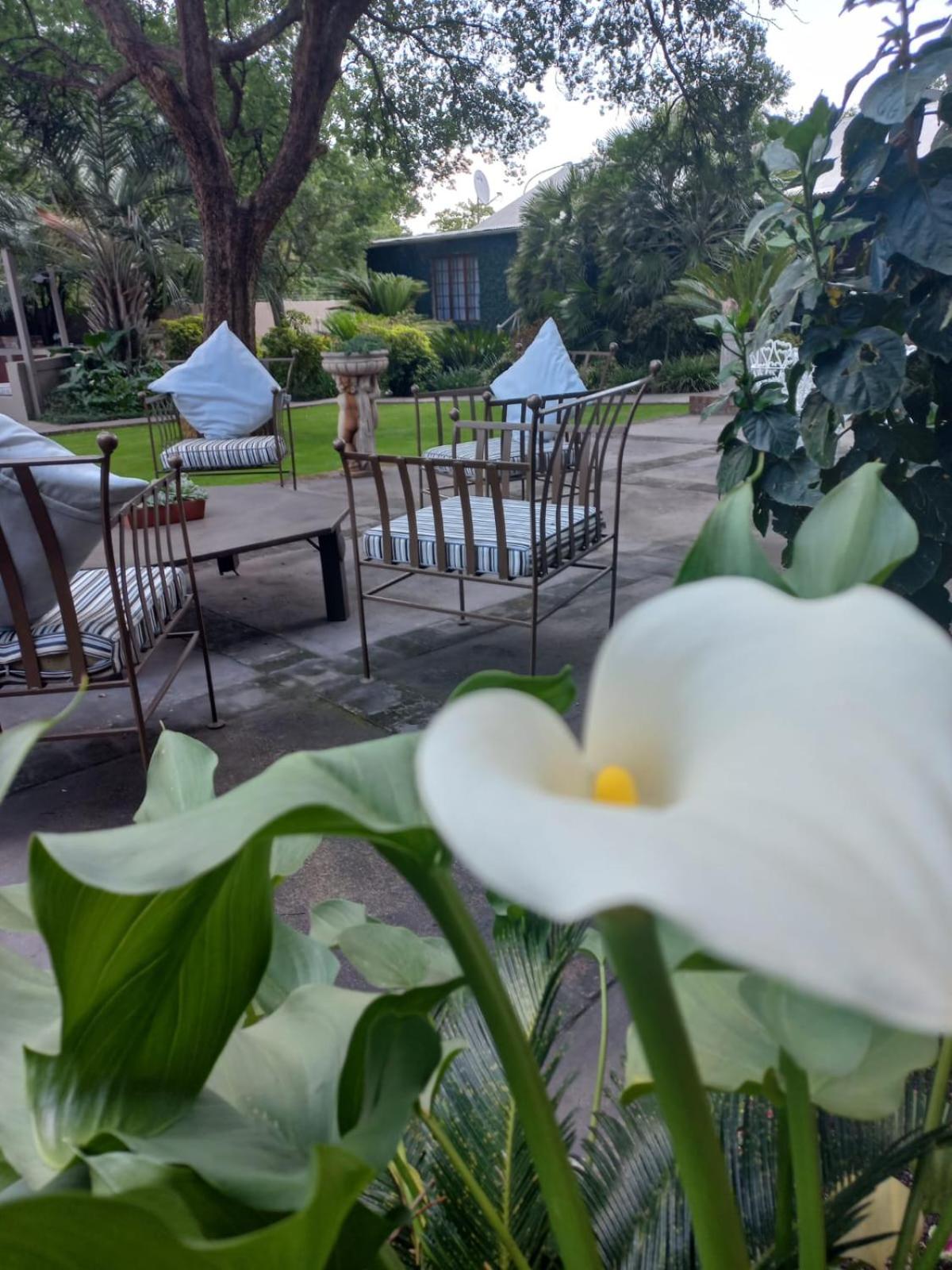 J'Cups Guest House