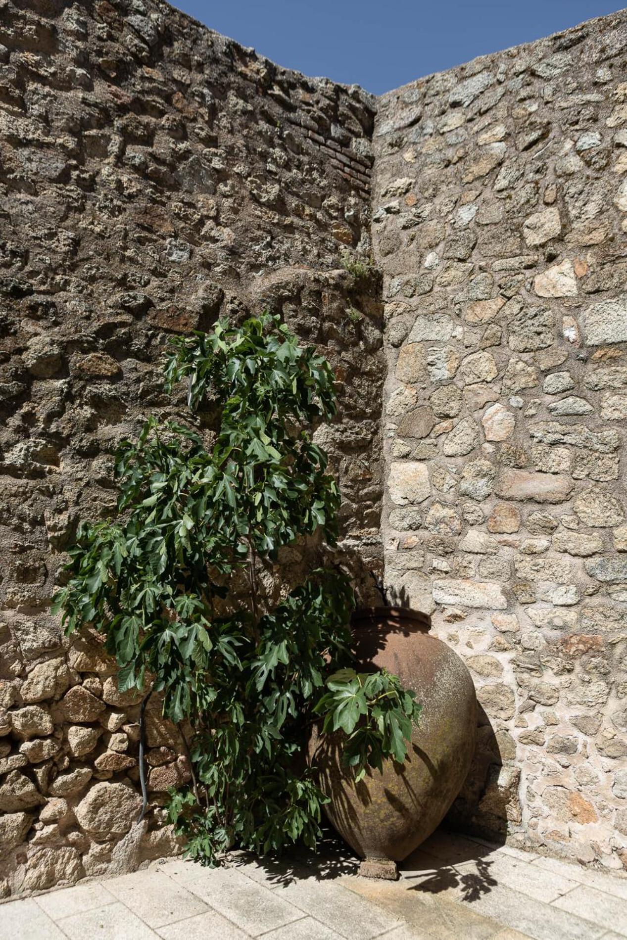 Casa Rural Doña Anita