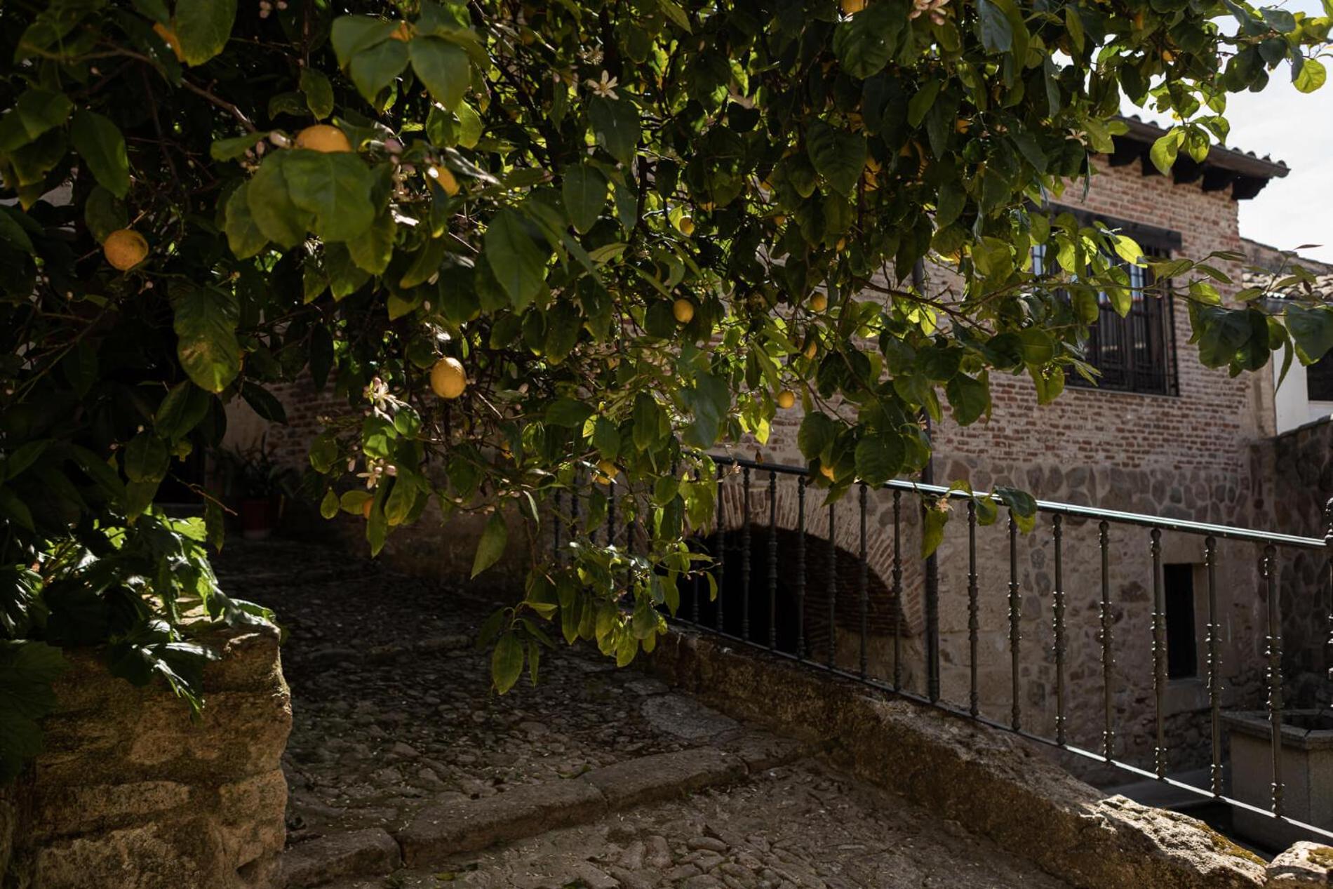 Casa Rural Doña Anita