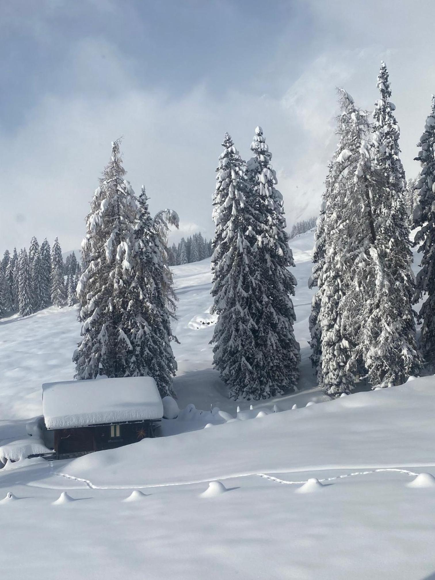 Appartementhaus Hochkönig - Panoramablick