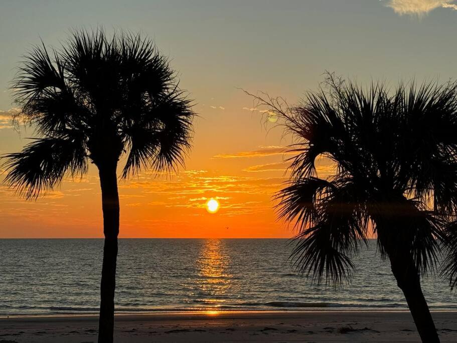 Barefoot Shores