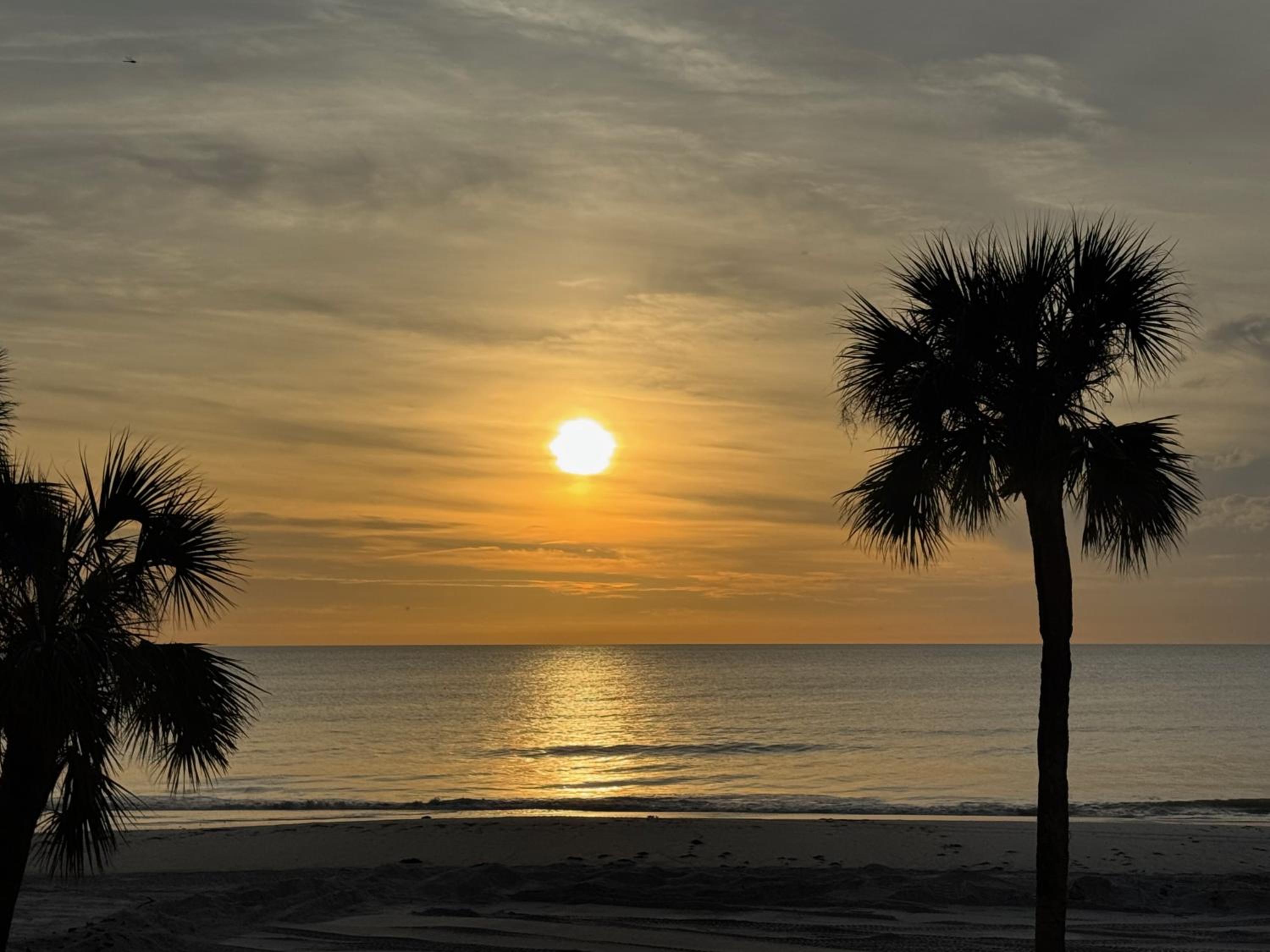Barefoot Shores