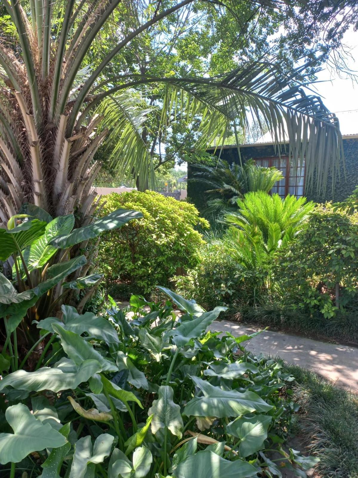 J'Cups Guest House