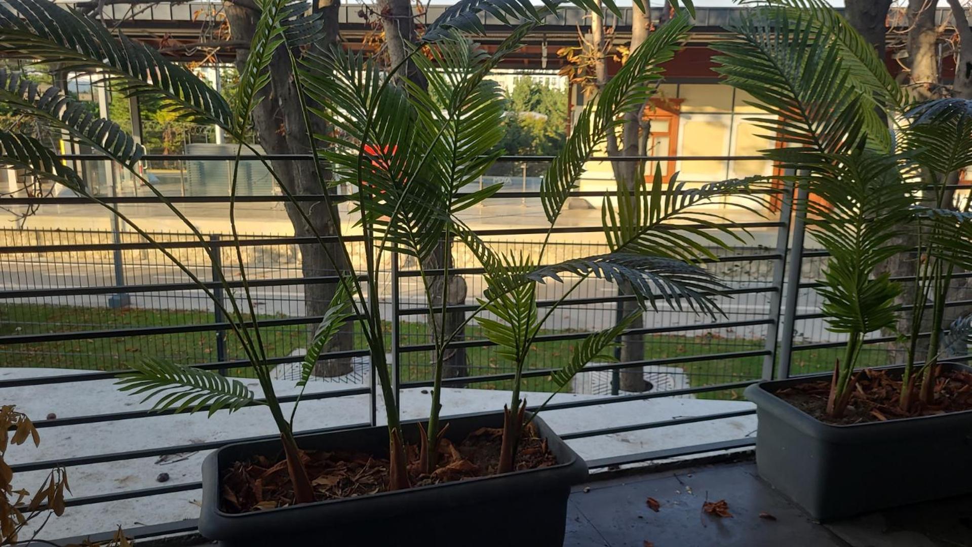 KONAK BELLA 3 - Image 7