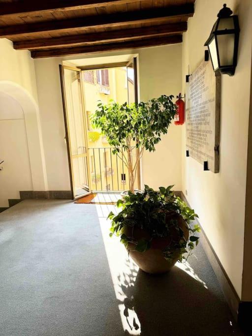 La Dolce Vita Fontana di Trevi - Loft