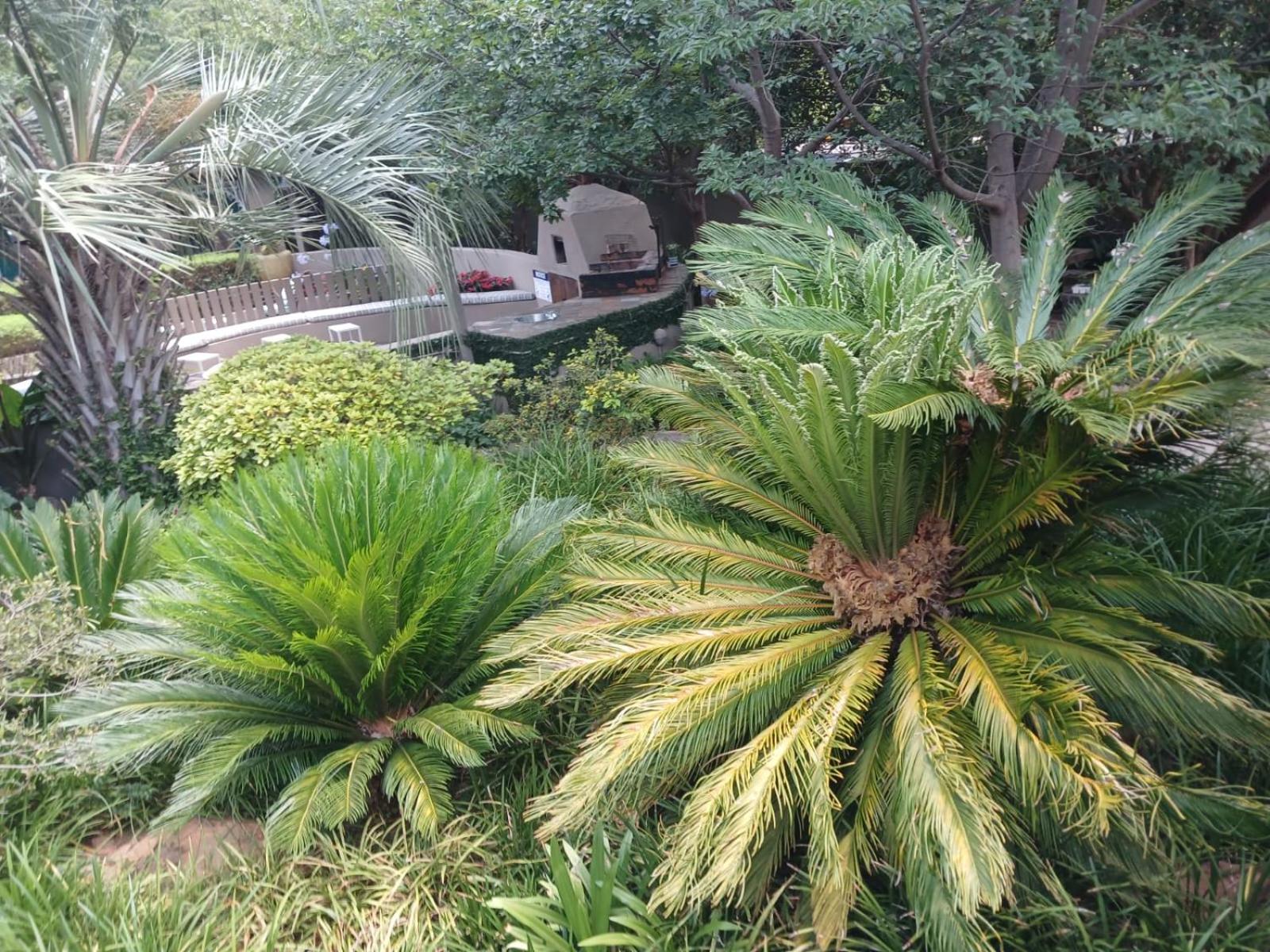 J'Cups Guest House