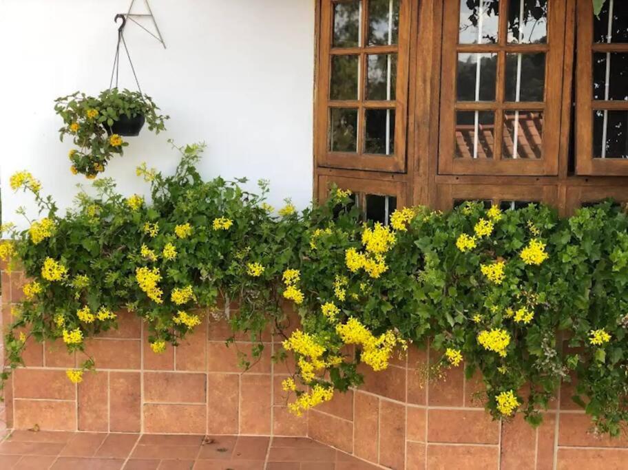 Chácara Luxo c/ Vista – Ao Lado do Outlet Catarina