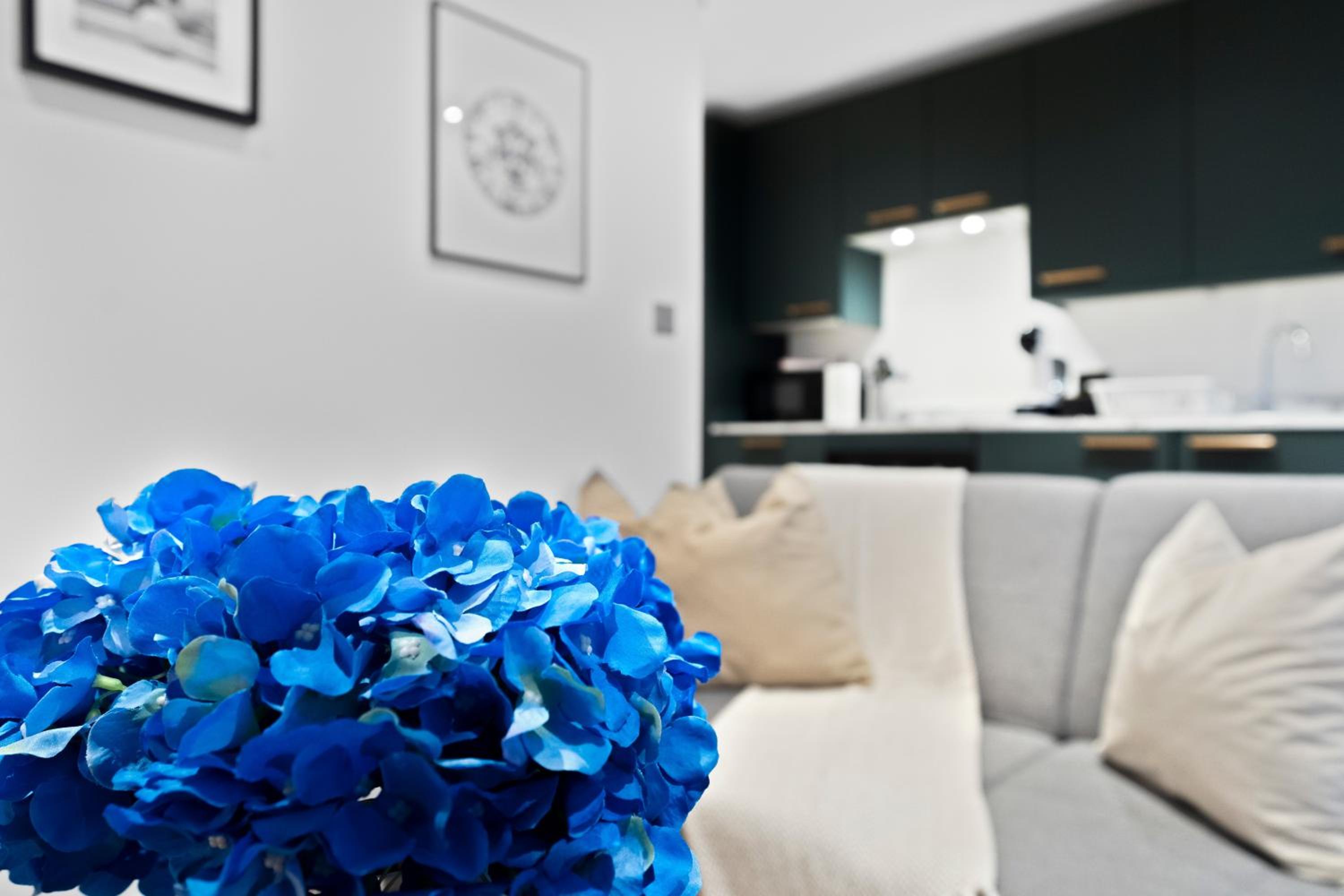 Modern Apartments London With Free WiFi