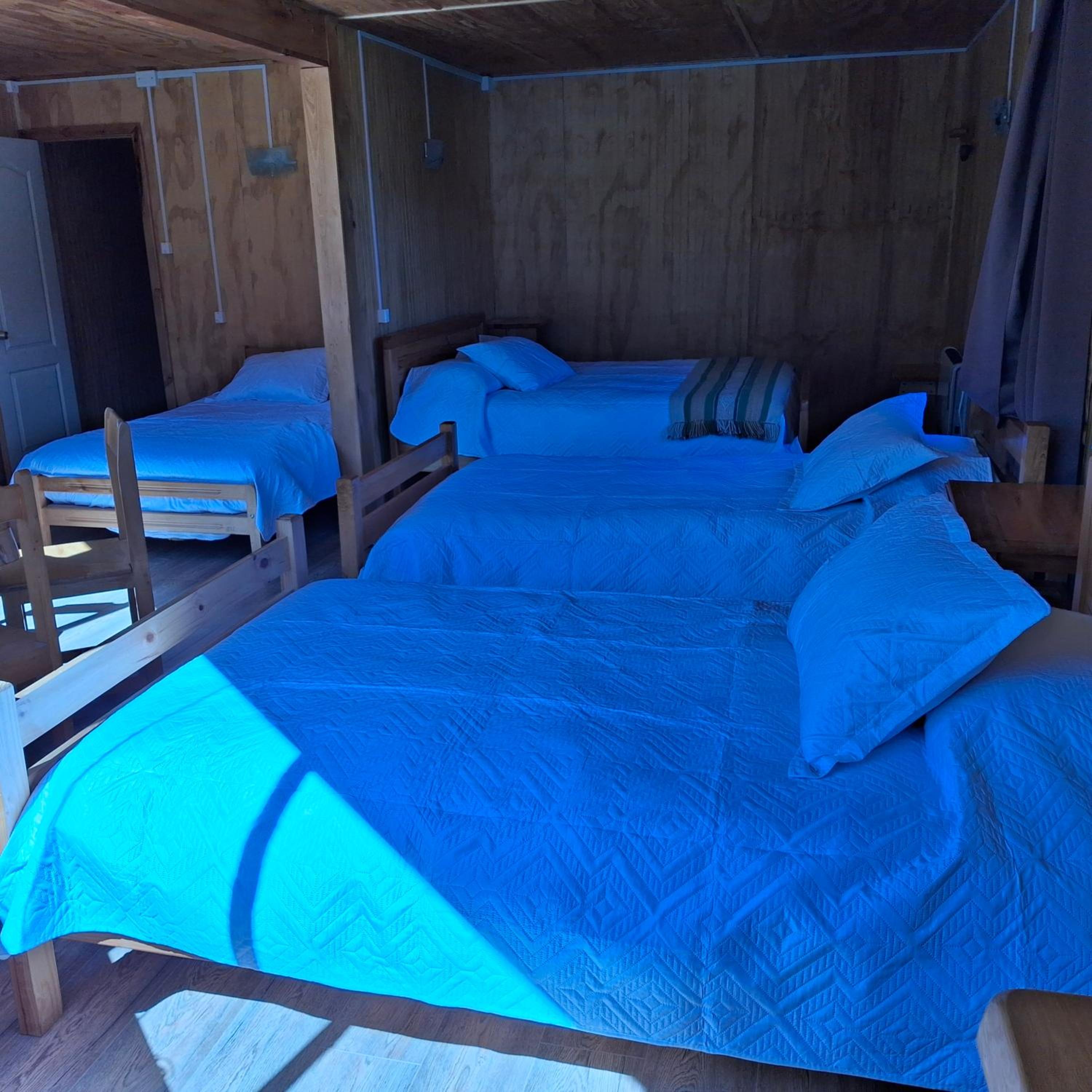 Los Mañíos Del Queulat Puyuhuapi