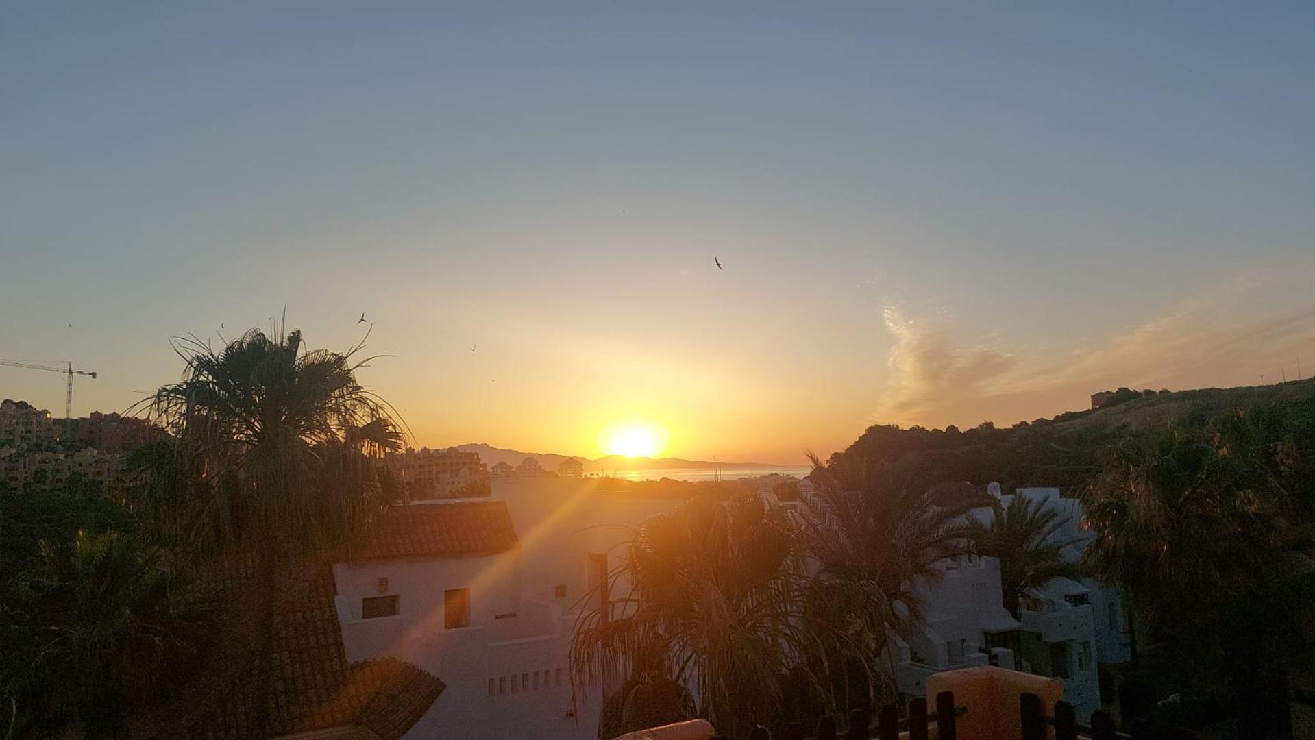 La duquesa joyfull sunrise
