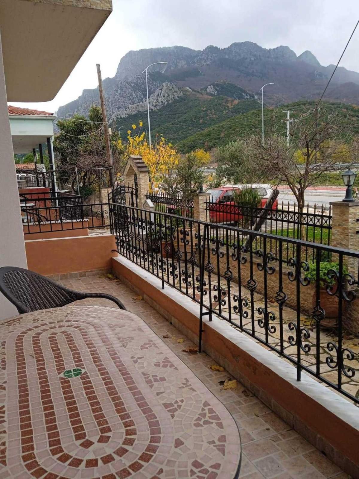 Chrysoula's home -koziakas- PYLI photo 3